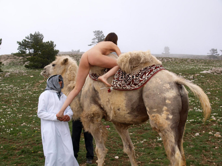 porn-camel
