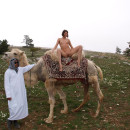Naked Calla A on the camel
