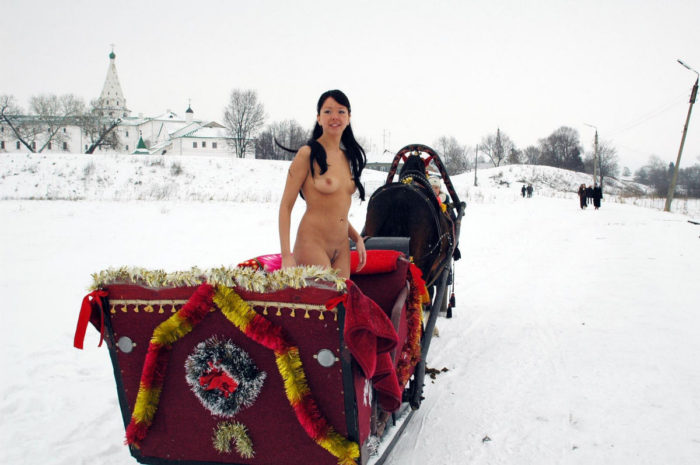 Smiling brunette in sleigh