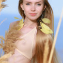 Like a delicate wild flower in the middle of a field, Honey Liz’ innocent beauty and nubile body stands out