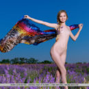 Youthful Honey Liz delightfully poses in the flowery field displaying her lean body   with creamy skin.