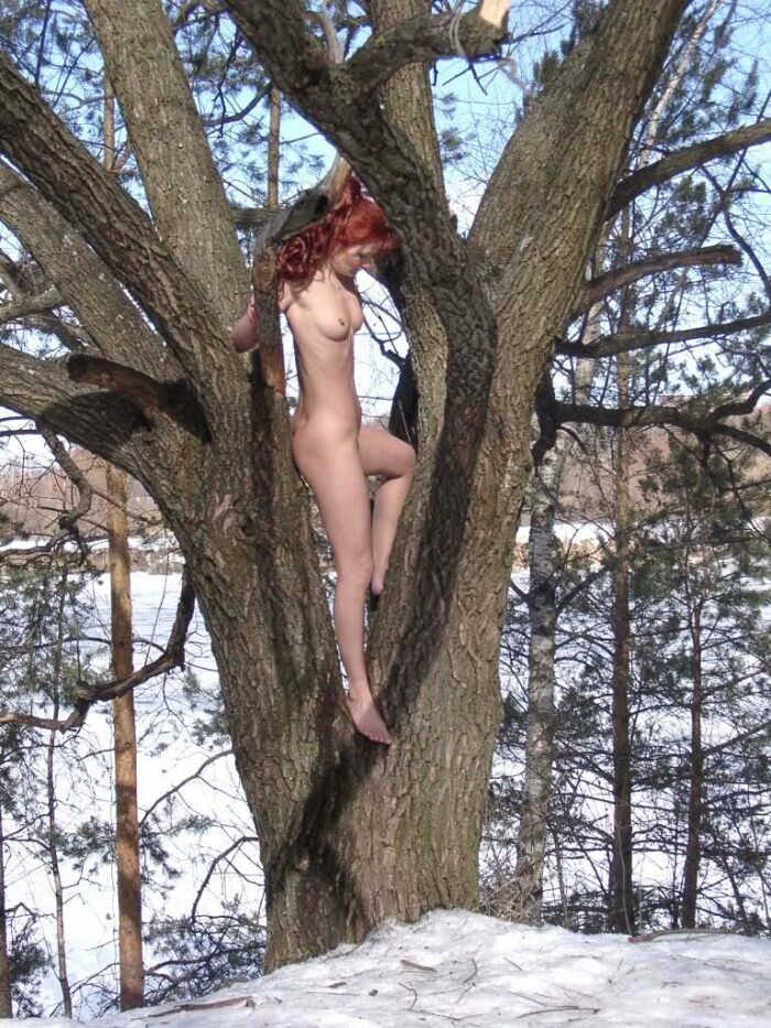 Nude girl climbs a tree to show pussy