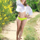 Alessandra A wearing sunny yellow panties in a field of yellow wild flowers