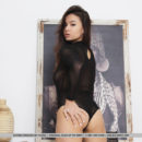 Alluring Astrid Herrara displays her bumtastic physique wearing a sheer one piece suite and decides to unlock the crouch and expose her slender figure posing in the nude but still wearing high heels.