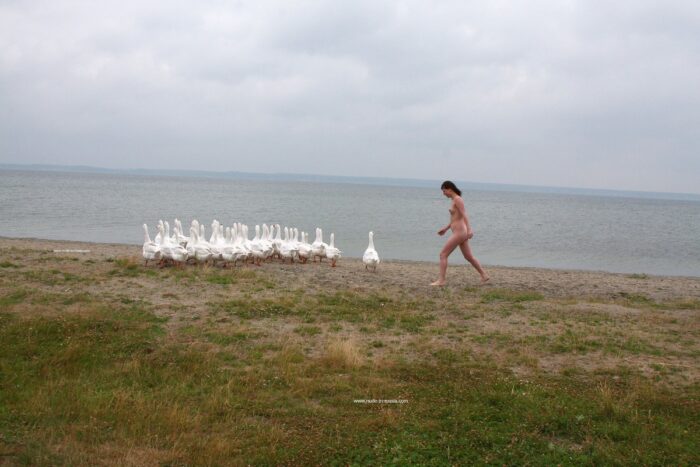 Russian girl Inga walks with geese