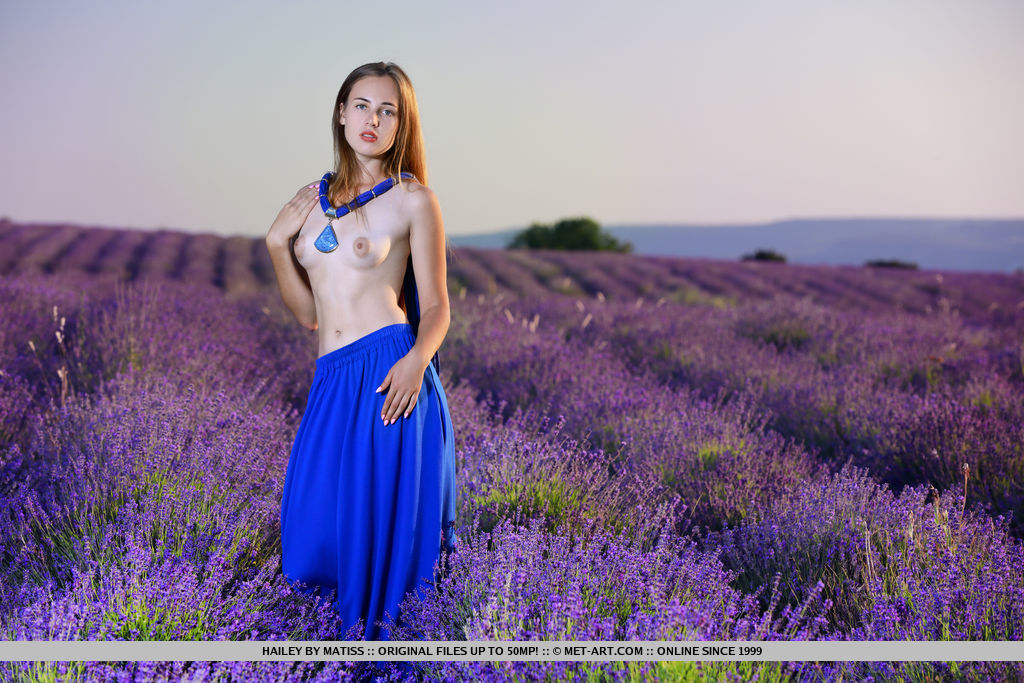 Hailey is topless in a field of lavenders. She takes off her blue long skirt and gives a closeup of her white pussy.