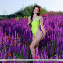Aleksandrina strikes a pose by the lavender field wearing her neon yellow thong bodysuit. She takes it off and show off her bootylicious sexy figure.