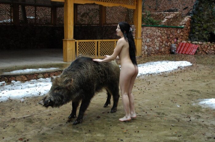 Beautiful brunette Sveta O posing with a stuffed boar