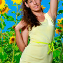 Gorgeous Rosella enticingly undresses on the sunflower field and flaunts her bikini tan lines, sexy curves and hairless cunt.