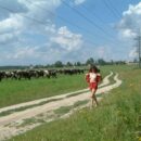 Girl Juna posing without clothes near the herd of cows
