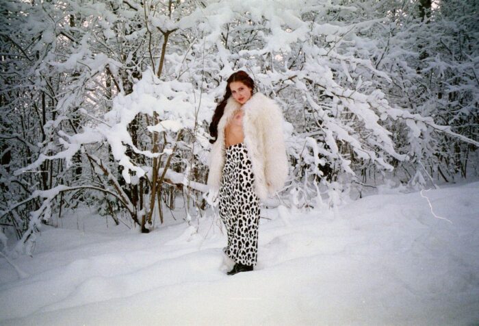 Virginia: Winter Wonderland