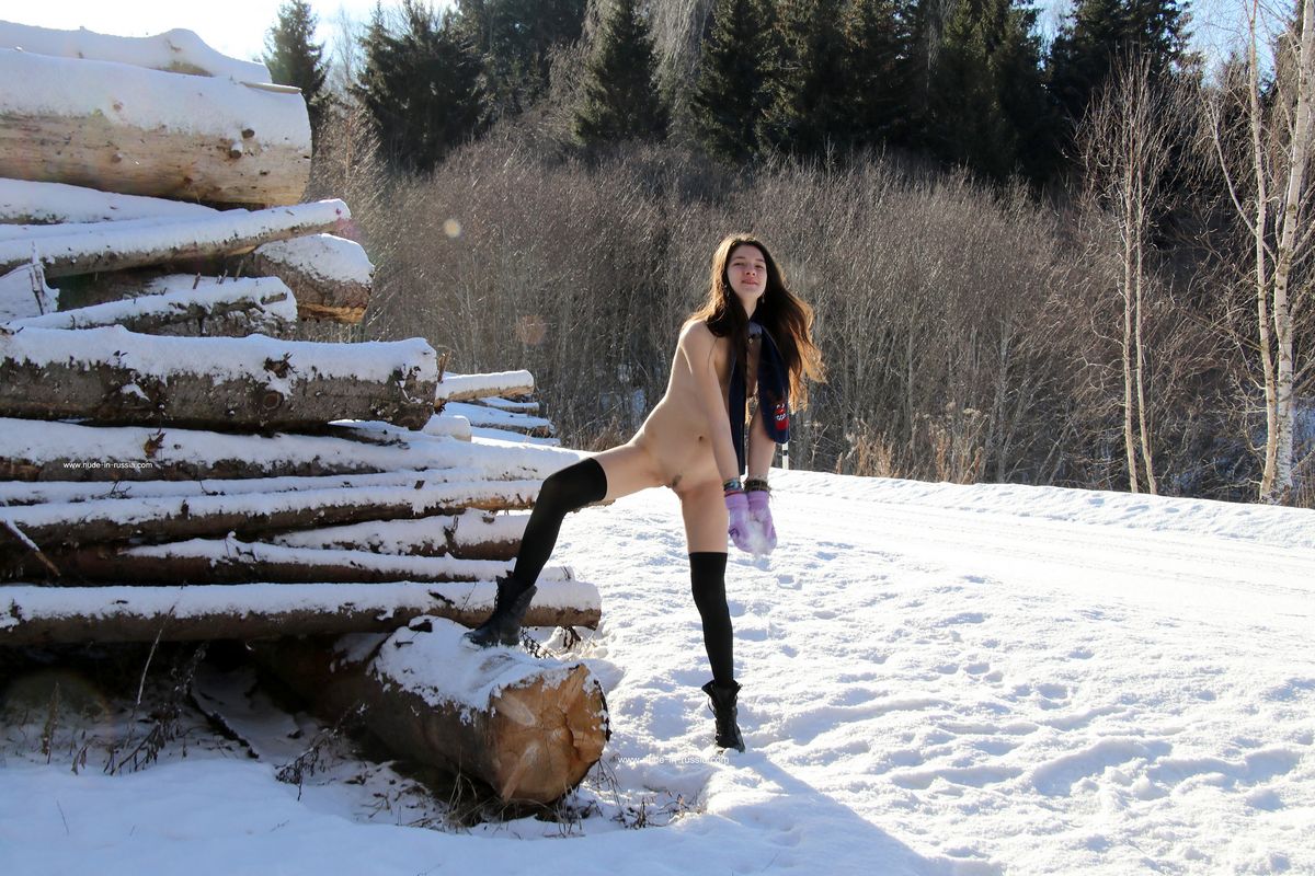 Camille 2 — Frosty Sunny Winter Day